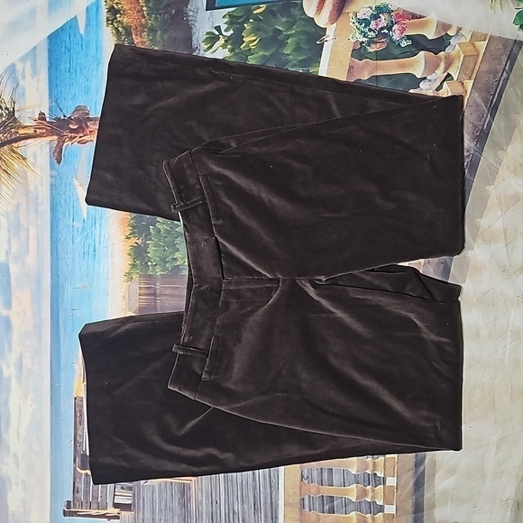 Loft Julie Chocolate Brown Pants Flare Leg‎ Trousers Size 2 NWT - Picture 2 of 7